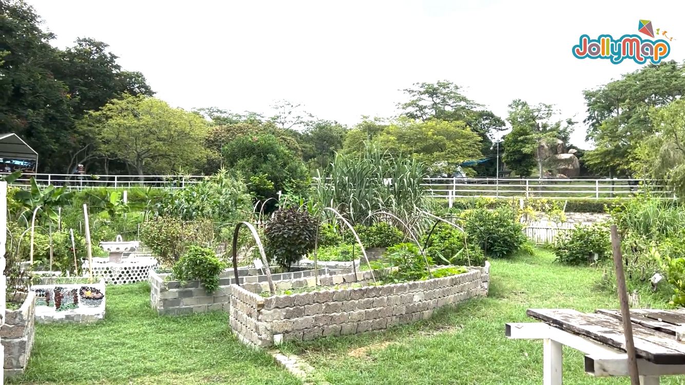 長洲西園露營