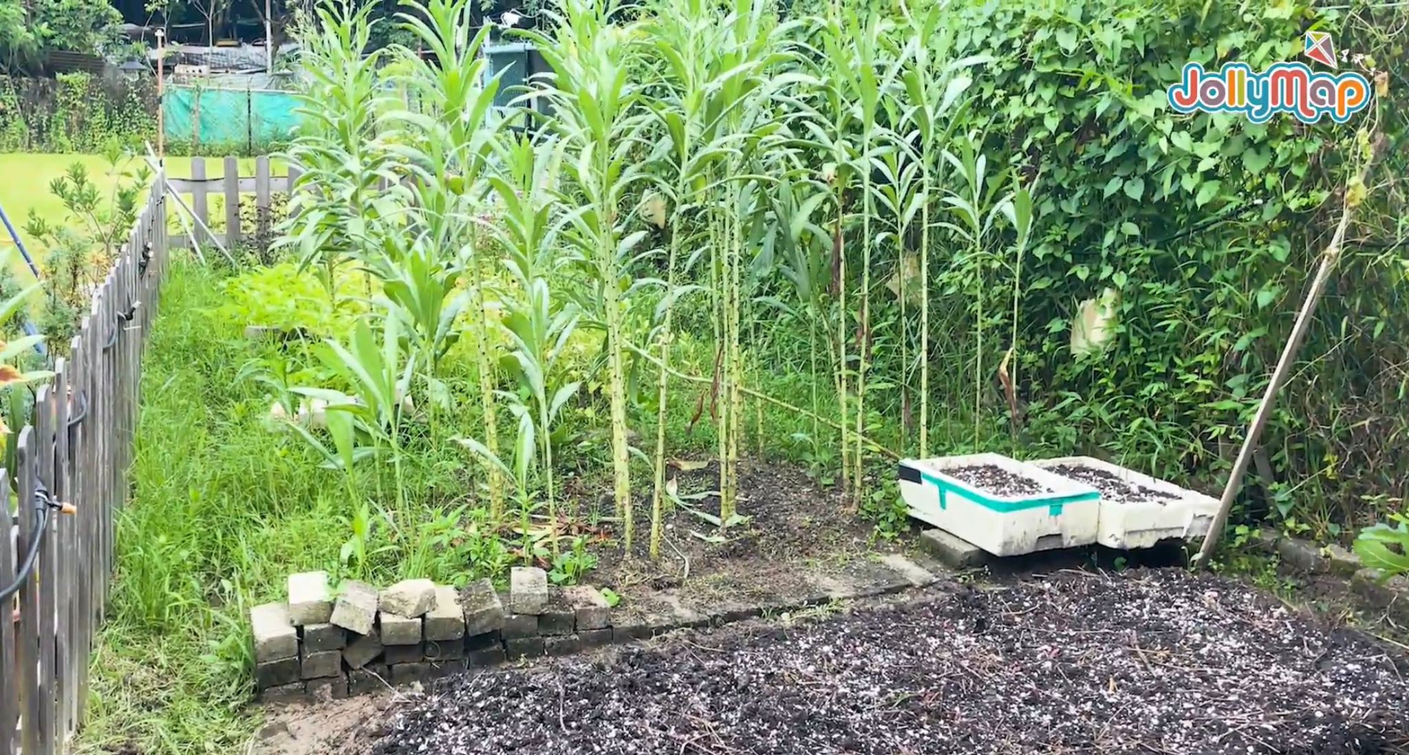 Jollymap好想去露營系列 - 隱世山野 Hidden place