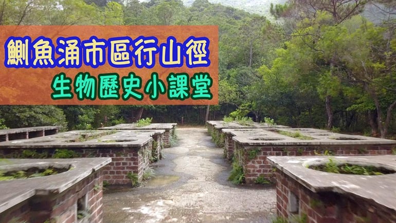 親子行山樂第十九集 - 鰂魚涌樹木研習徑 港島市區行山好去處