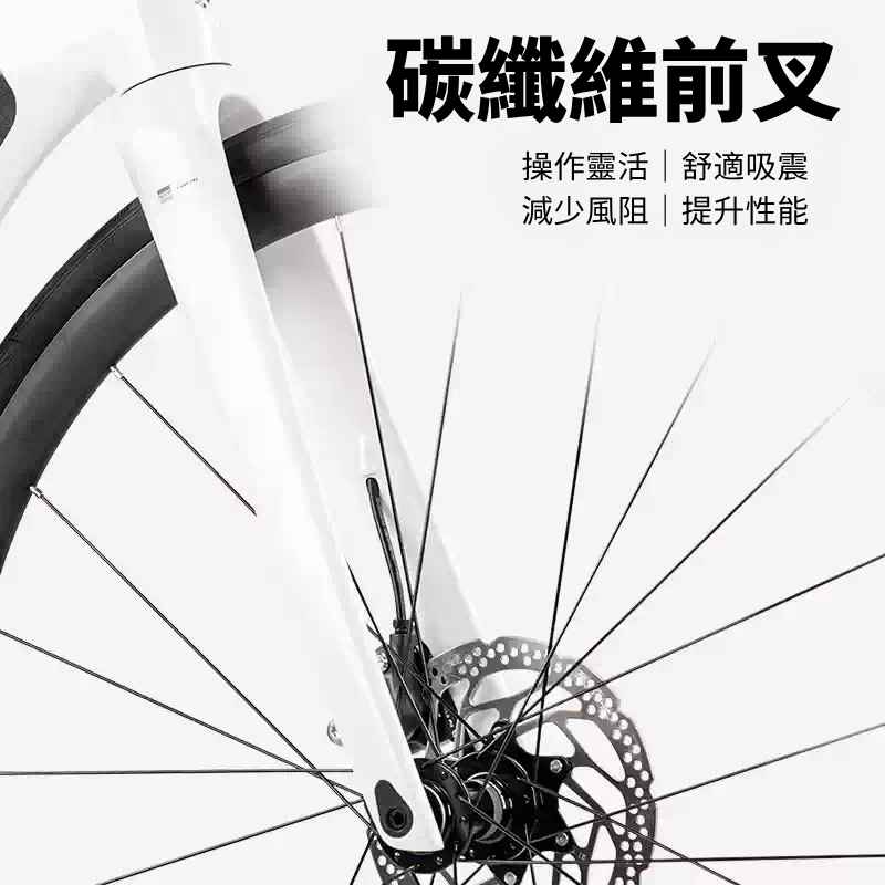 CAMP SR5 Sport carbon fork close-up