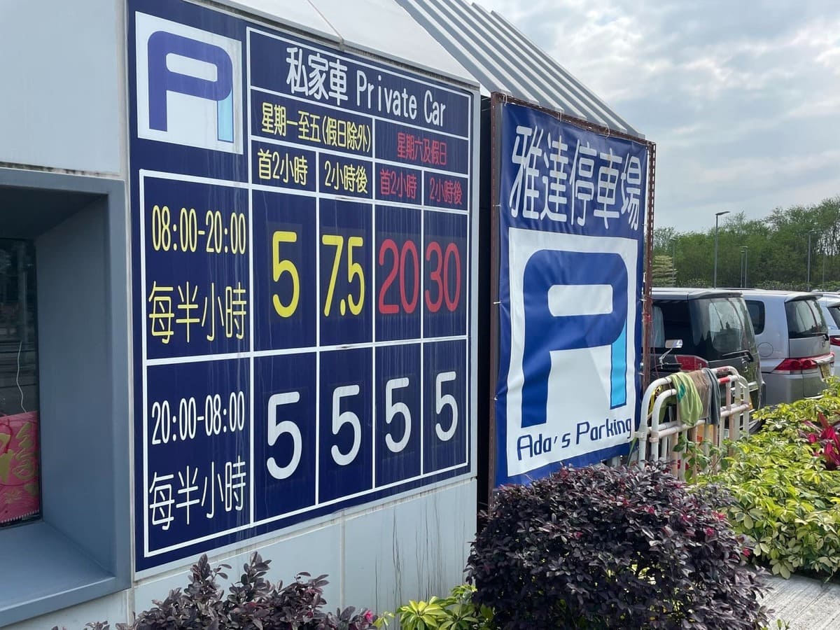 大埔龍尾灘停車場泊車