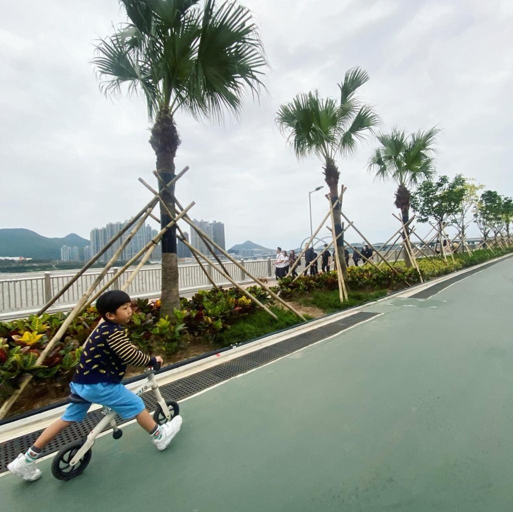 將軍澳跨灣大橋