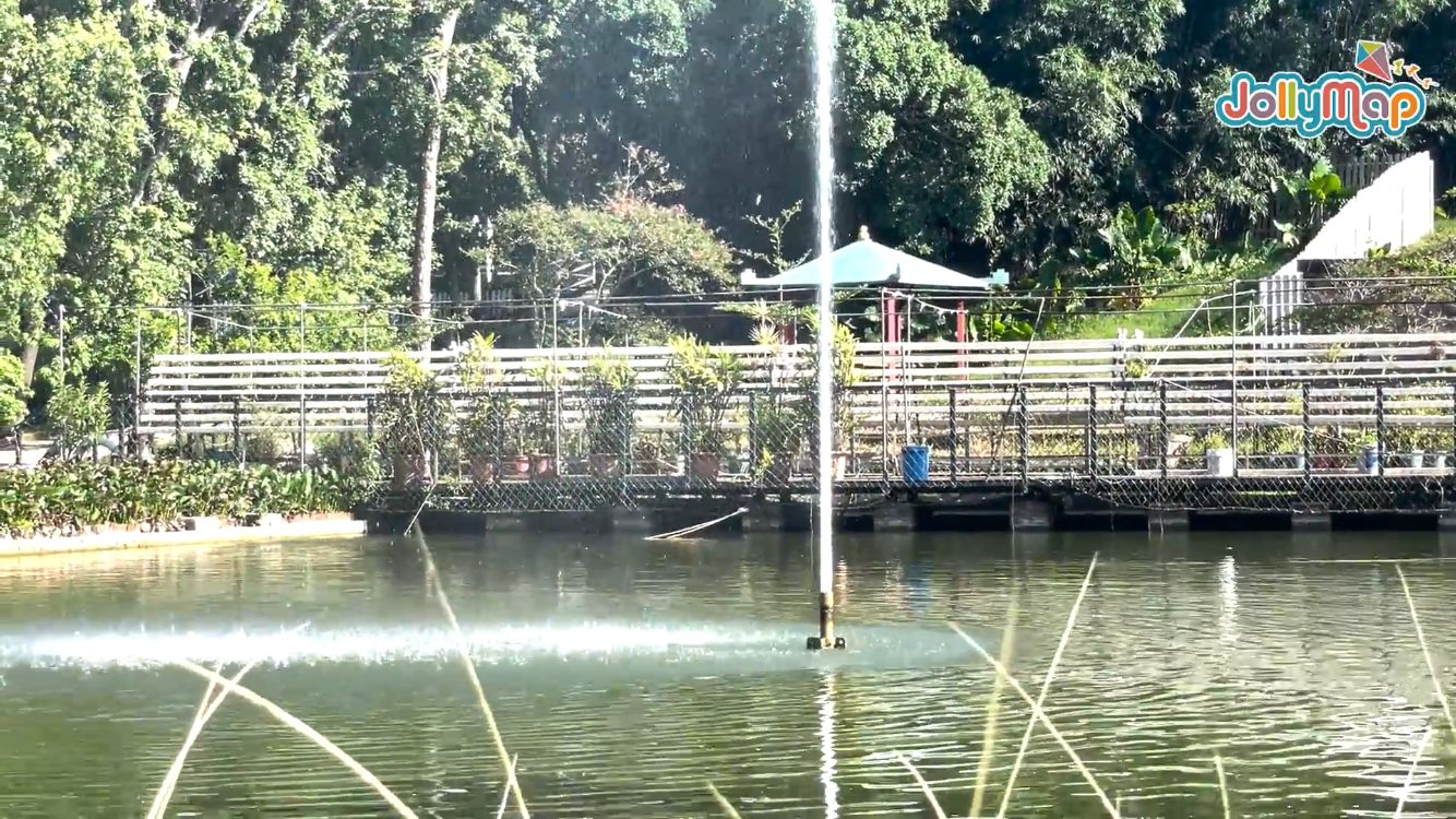 長洲西園露營